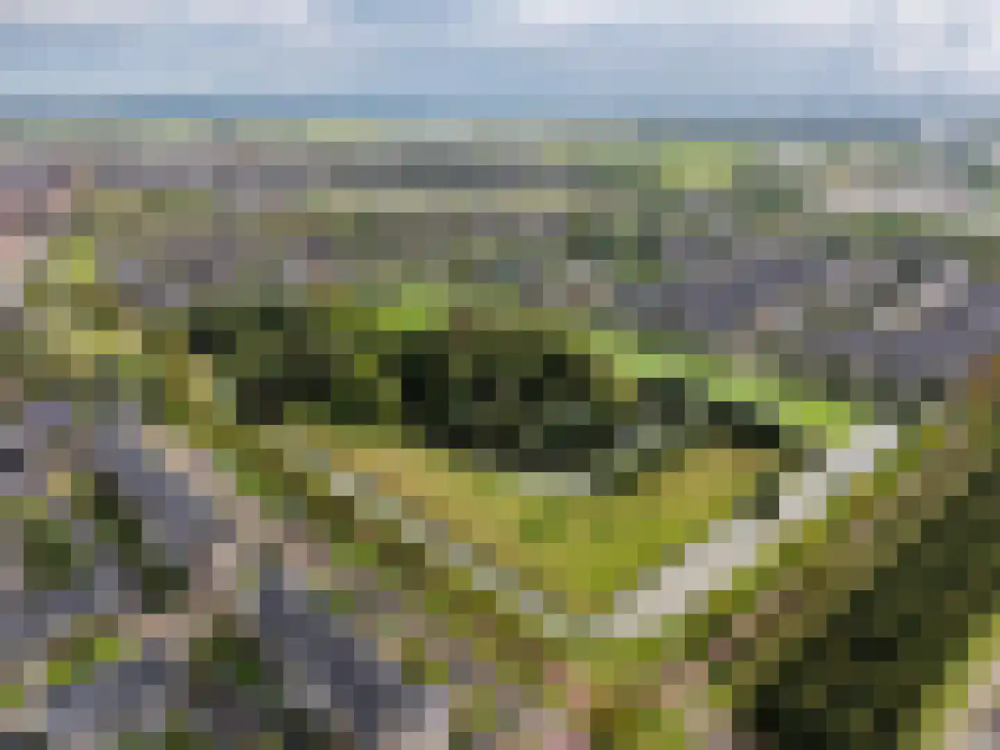 Hofmuur 10 Houten thumbnail 67