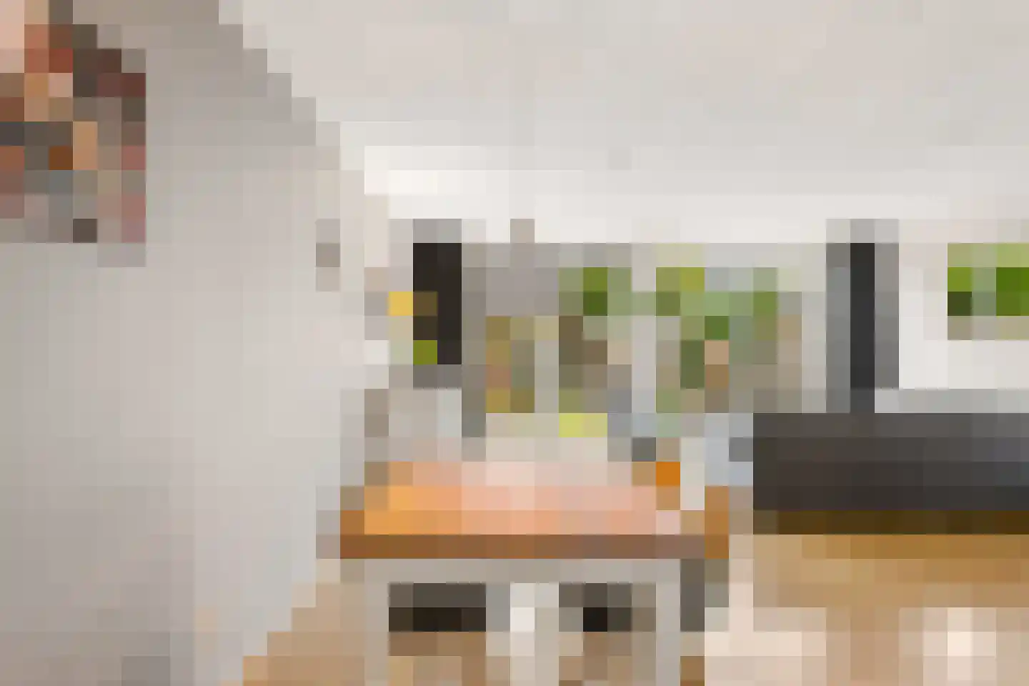 Hofmuur 10 Houten thumbnail 8