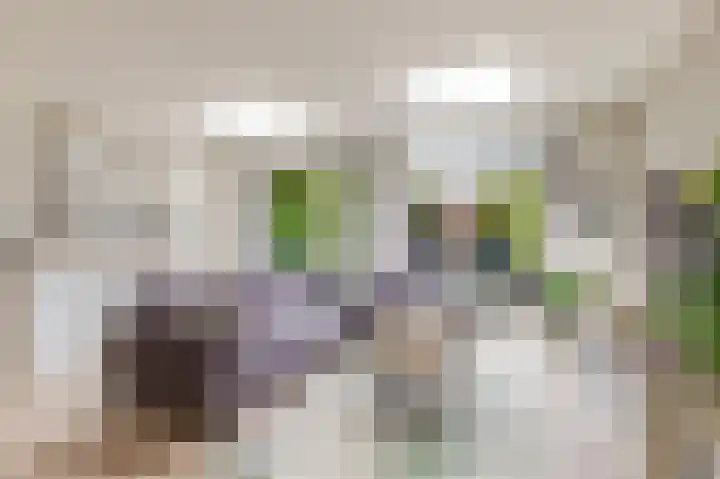 Hofmuur 2 Houten thumbnail 10