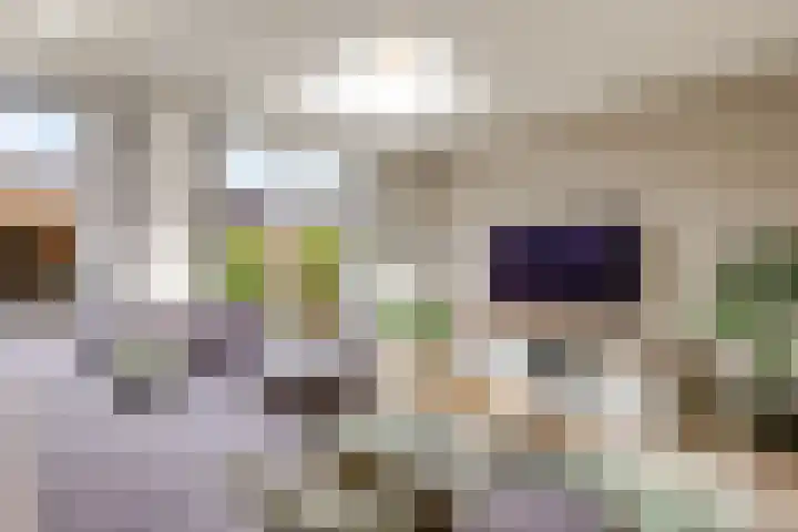 Hofmuur 2 Houten thumbnail 12
