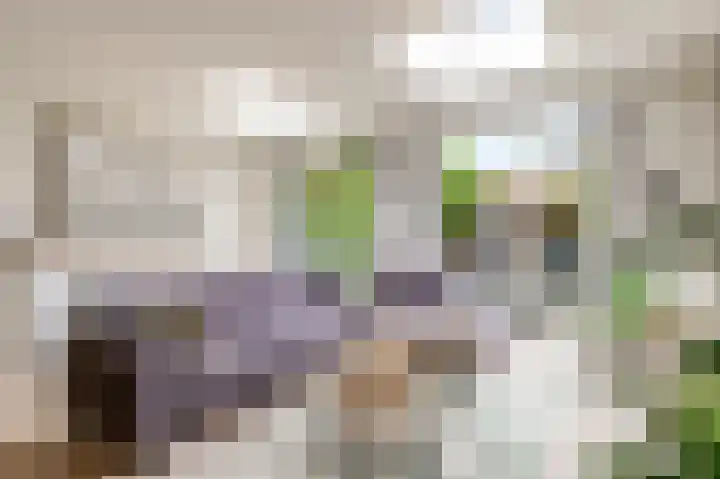 Hofmuur 2 Houten thumbnail 13