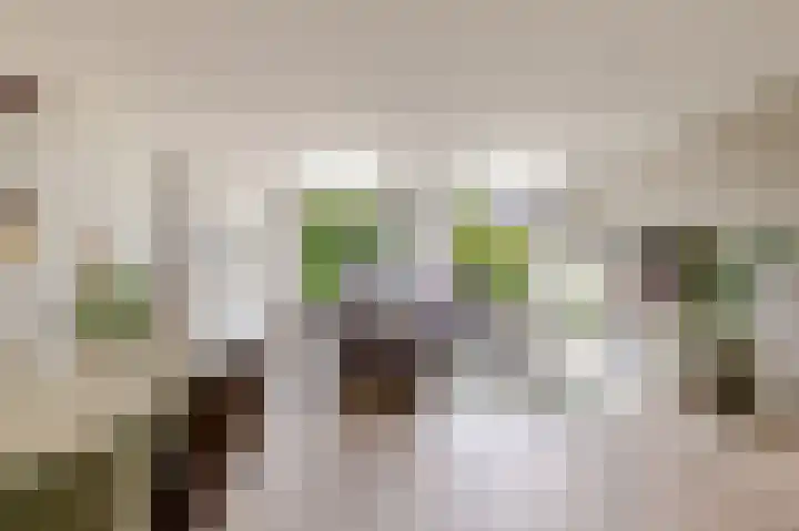 Hofmuur 2 Houten thumbnail 15