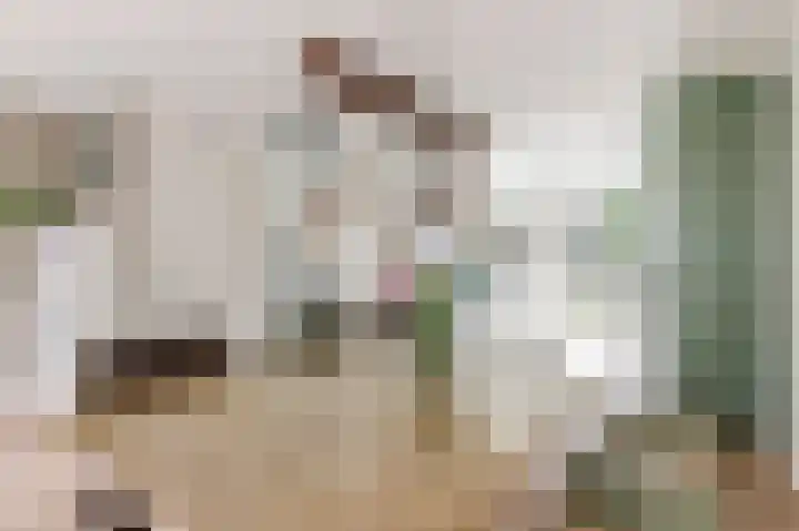 Hofmuur 2 Houten thumbnail 19