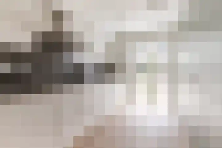 Hofmuur 2 Houten thumbnail 20