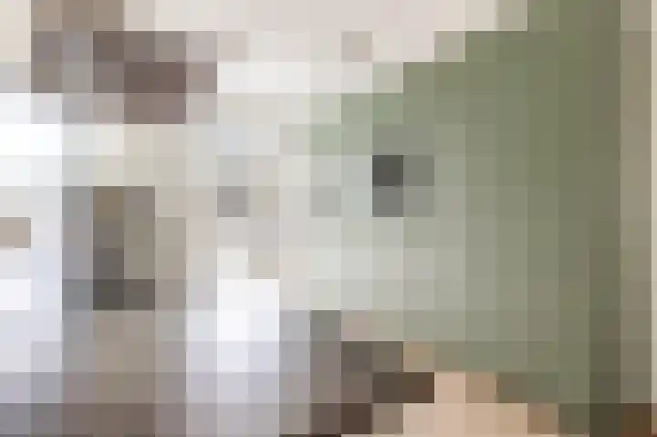 Hofmuur 2 Houten thumbnail 21