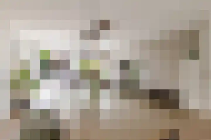 Hofmuur 2 Houten thumbnail 23