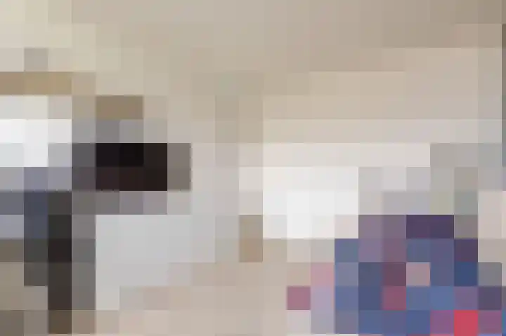 Hofmuur 2 Houten thumbnail 29