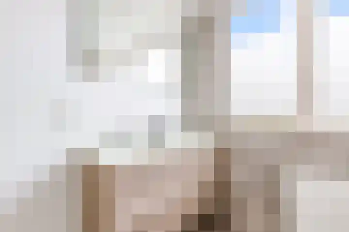 Hofmuur 2 Houten thumbnail 34