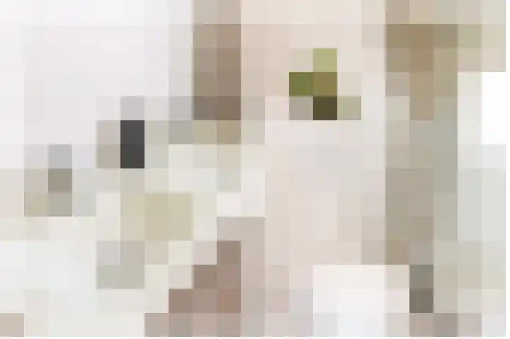 Hofmuur 2 Houten thumbnail 35