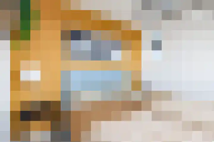 Hofmuur 2 Houten thumbnail 40