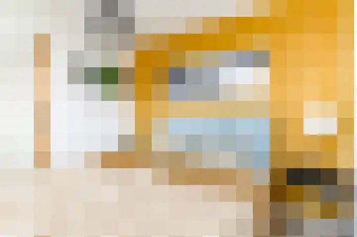 Hofmuur 2 Houten thumbnail 42