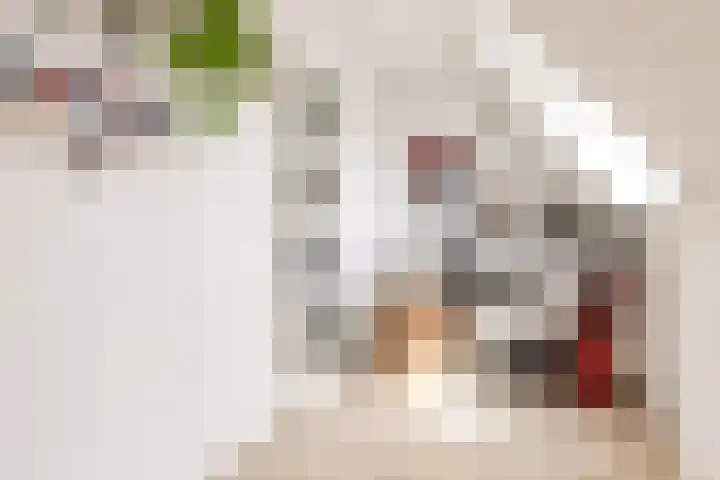 Hofmuur 2 Houten thumbnail 44