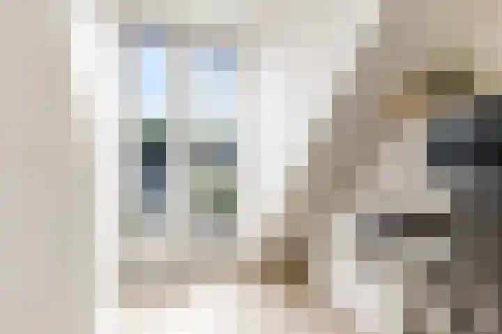 Hofmuur 2 Houten thumbnail 45