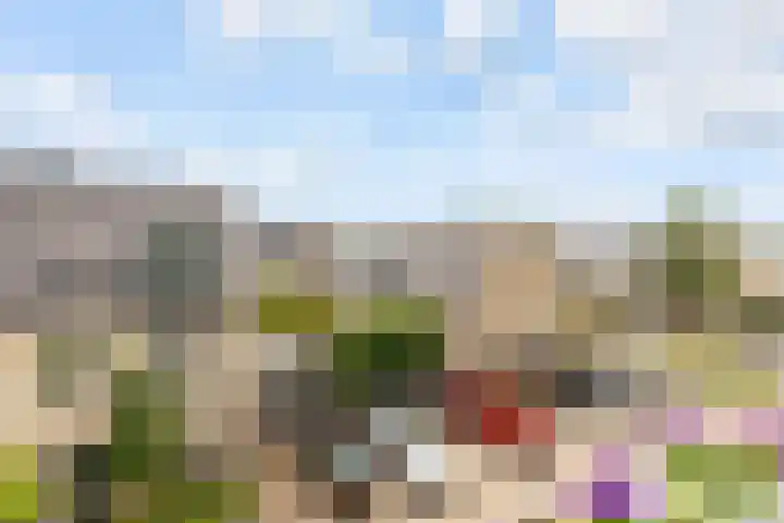 Hofmuur 2 Houten thumbnail 47