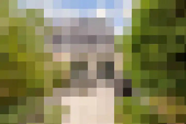 Hofmuur 2 Houten thumbnail 48
