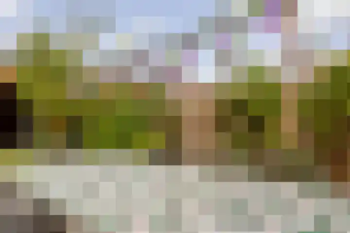 Hofmuur 2 Houten thumbnail 51