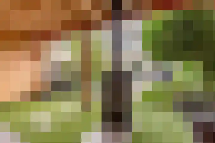 Hofmuur 2 Houten thumbnail 54