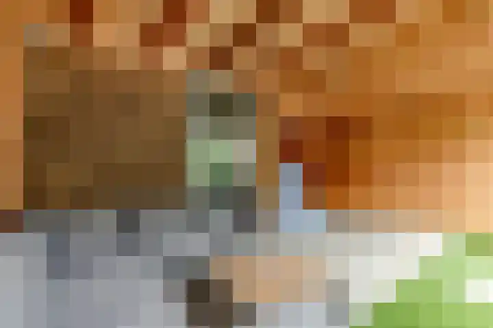 Hofmuur 2 Houten thumbnail 55