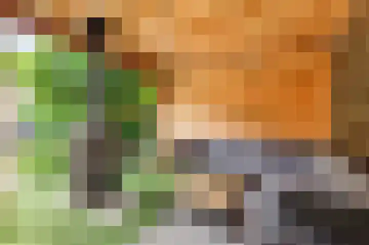 Hofmuur 2 Houten thumbnail 56