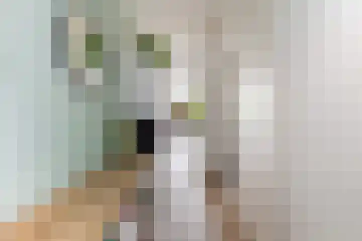 Hofmuur 2 Houten thumbnail 6