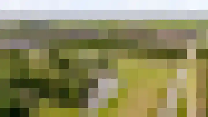 Hofmuur 2 Houten thumbnail 62