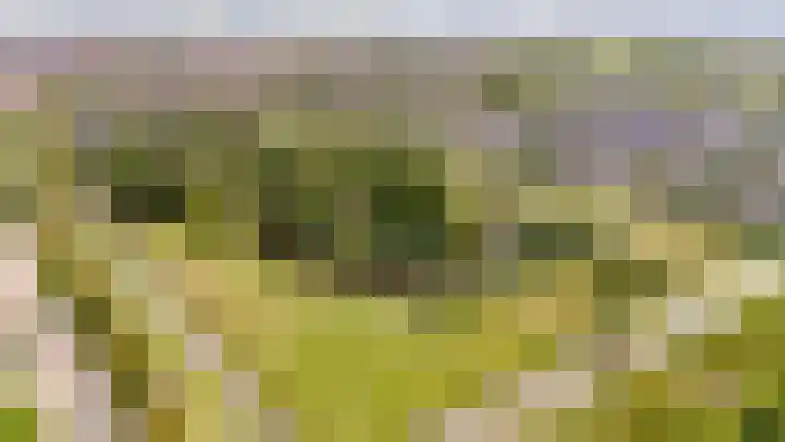 Hofmuur 2 Houten thumbnail 63