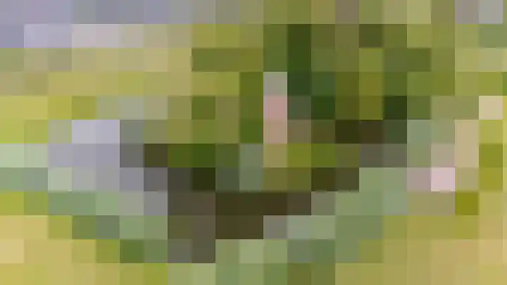 Hofmuur 2 Houten thumbnail 64