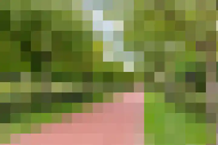 Hofmuur 2 Houten thumbnail 66