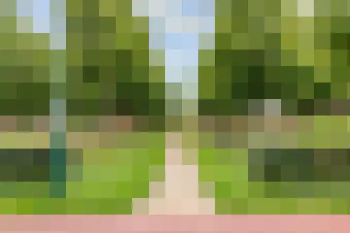 Hofmuur 2 Houten thumbnail 68