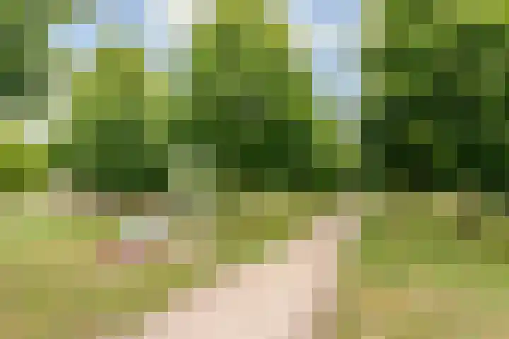 Hofmuur 2 Houten thumbnail 69