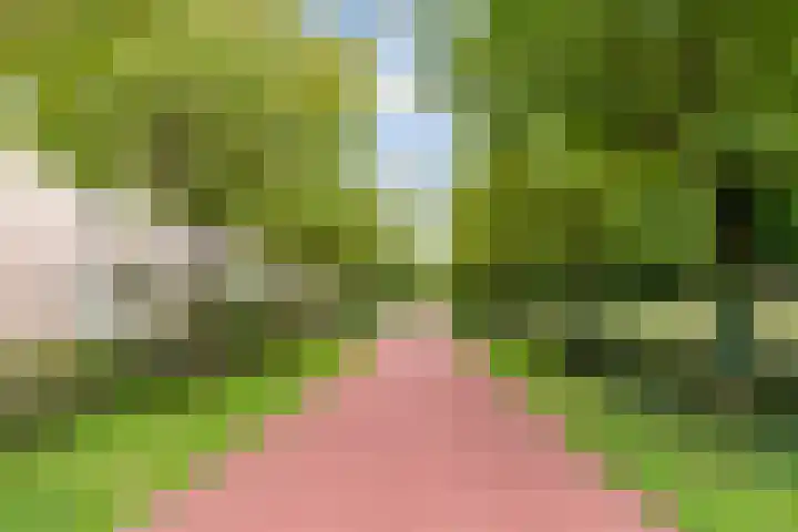 Hofmuur 2 Houten thumbnail 70