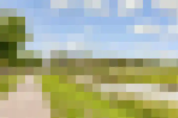 Hofmuur 2 Houten thumbnail 71