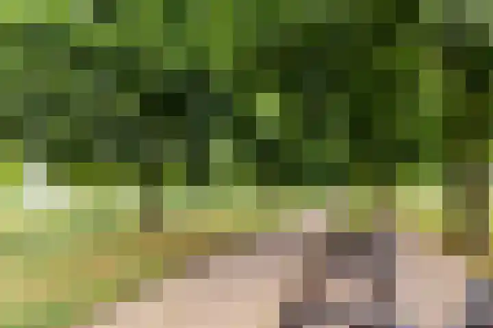 Hofmuur 2 Houten thumbnail 73