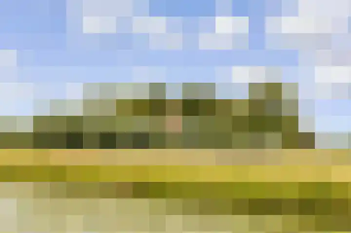 Hofmuur 2 Houten thumbnail 74