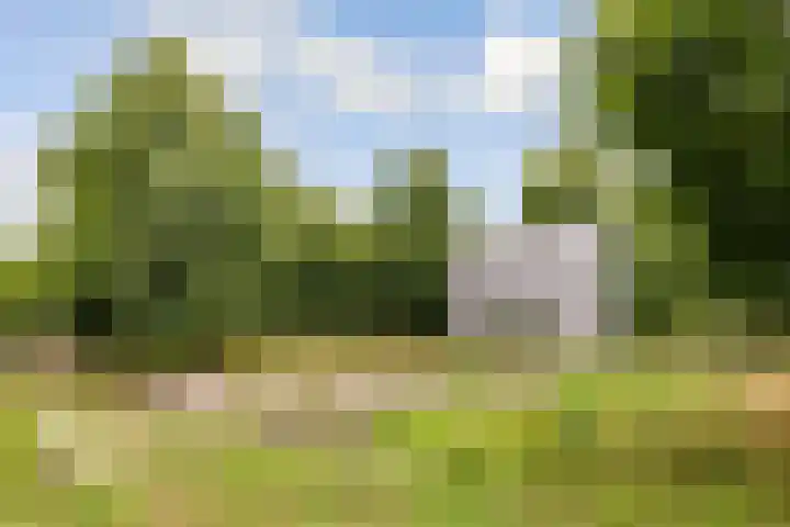 Hofmuur 2 Houten thumbnail 75