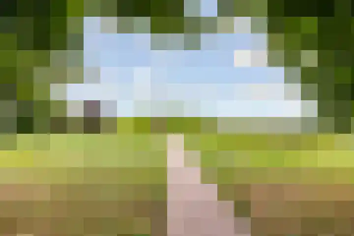 Hofmuur 2 Houten thumbnail 76