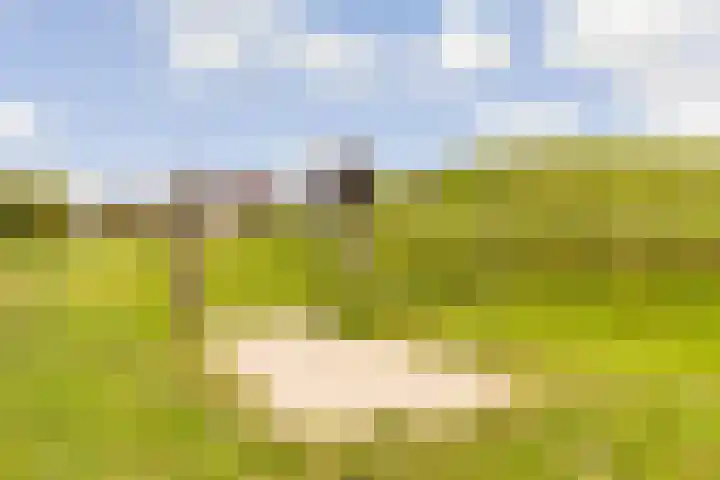 Hofmuur 2 Houten thumbnail 77
