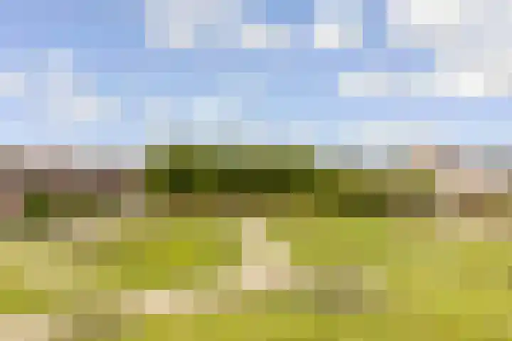 Hofmuur 2 Houten thumbnail 79