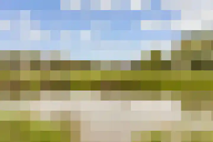 Hofmuur 2 Houten thumbnail 80