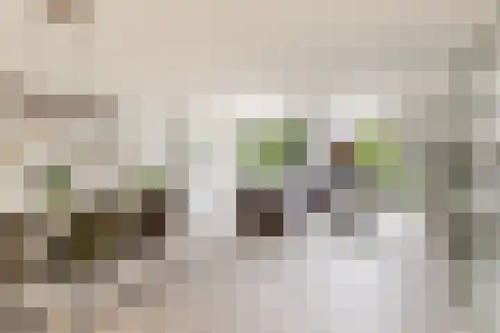Hofmuur 2 Houten thumbnail 9