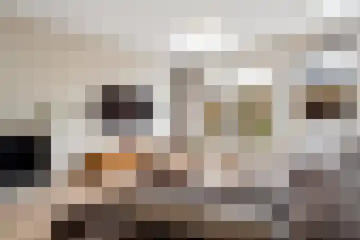 Hofmuur 4 Houten thumbnail 11