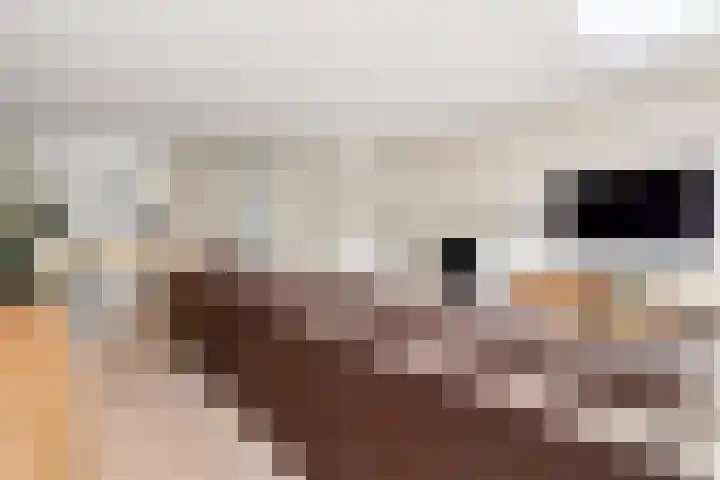 Hofmuur 4 Houten thumbnail 12