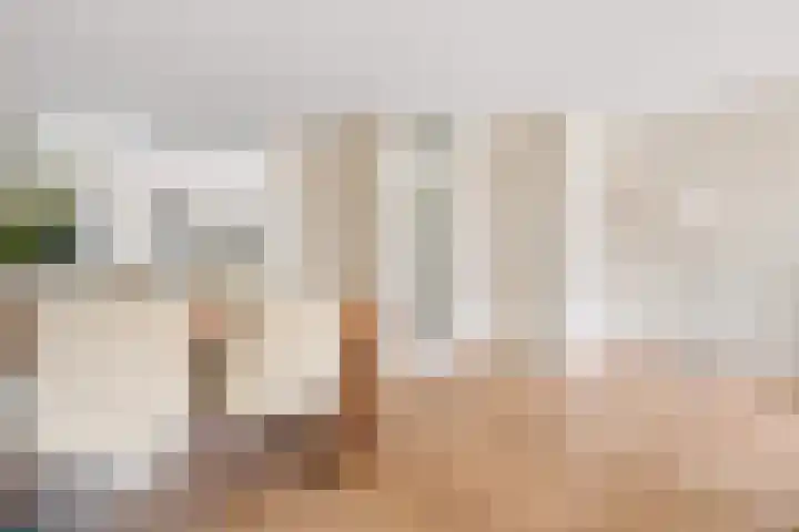 Hofmuur 4 Houten thumbnail 17