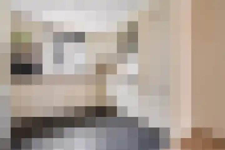 Hofmuur 4 Houten thumbnail 23