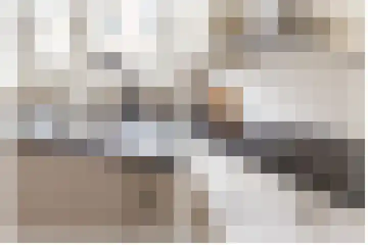 Hofmuur 4 Houten thumbnail 24