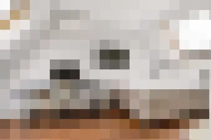 Hofmuur 4 Houten thumbnail 41