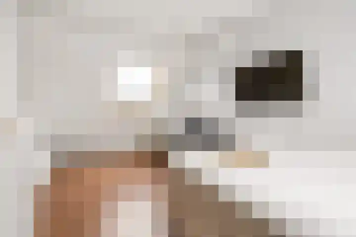 Hofmuur 4 Houten thumbnail 43