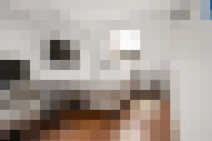 Hofmuur 4 Houten thumbnail 44