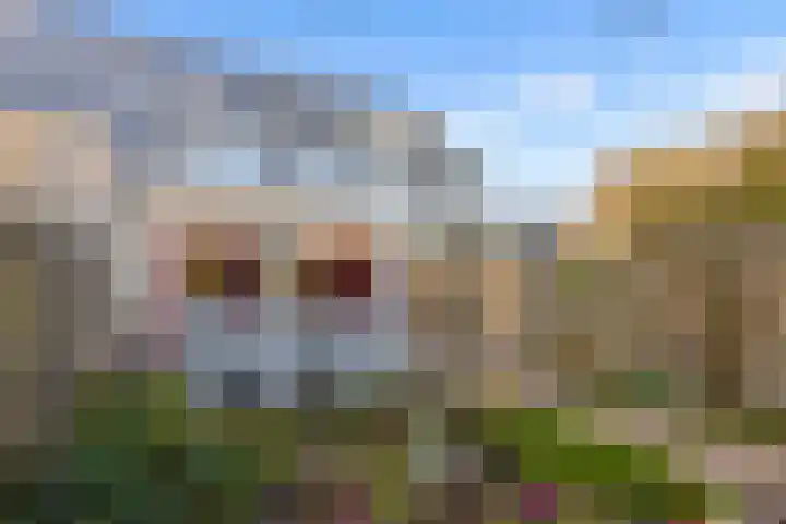 Hofmuur 4 Houten thumbnail 49