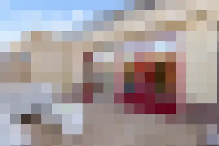 Hofmuur 4 Houten thumbnail 55